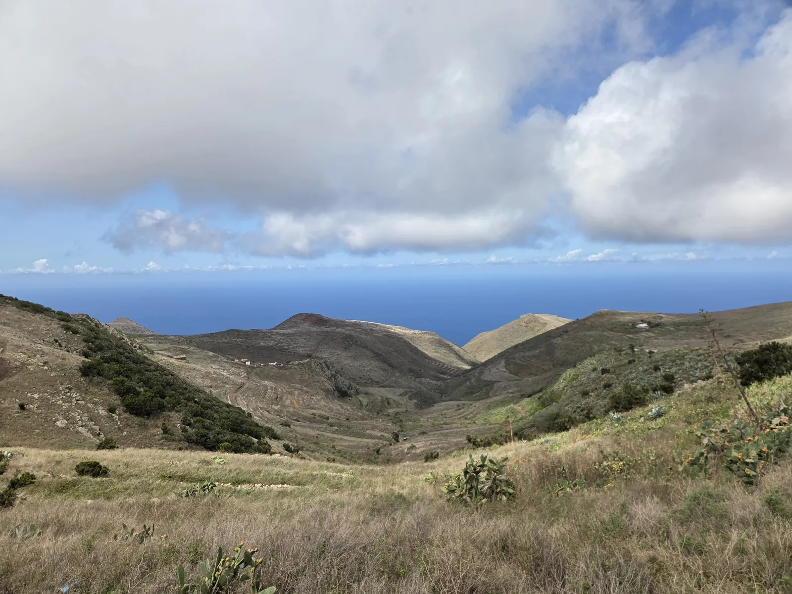 Laderas de Teno con pastos, matorral y el océano Atlántico al fondo