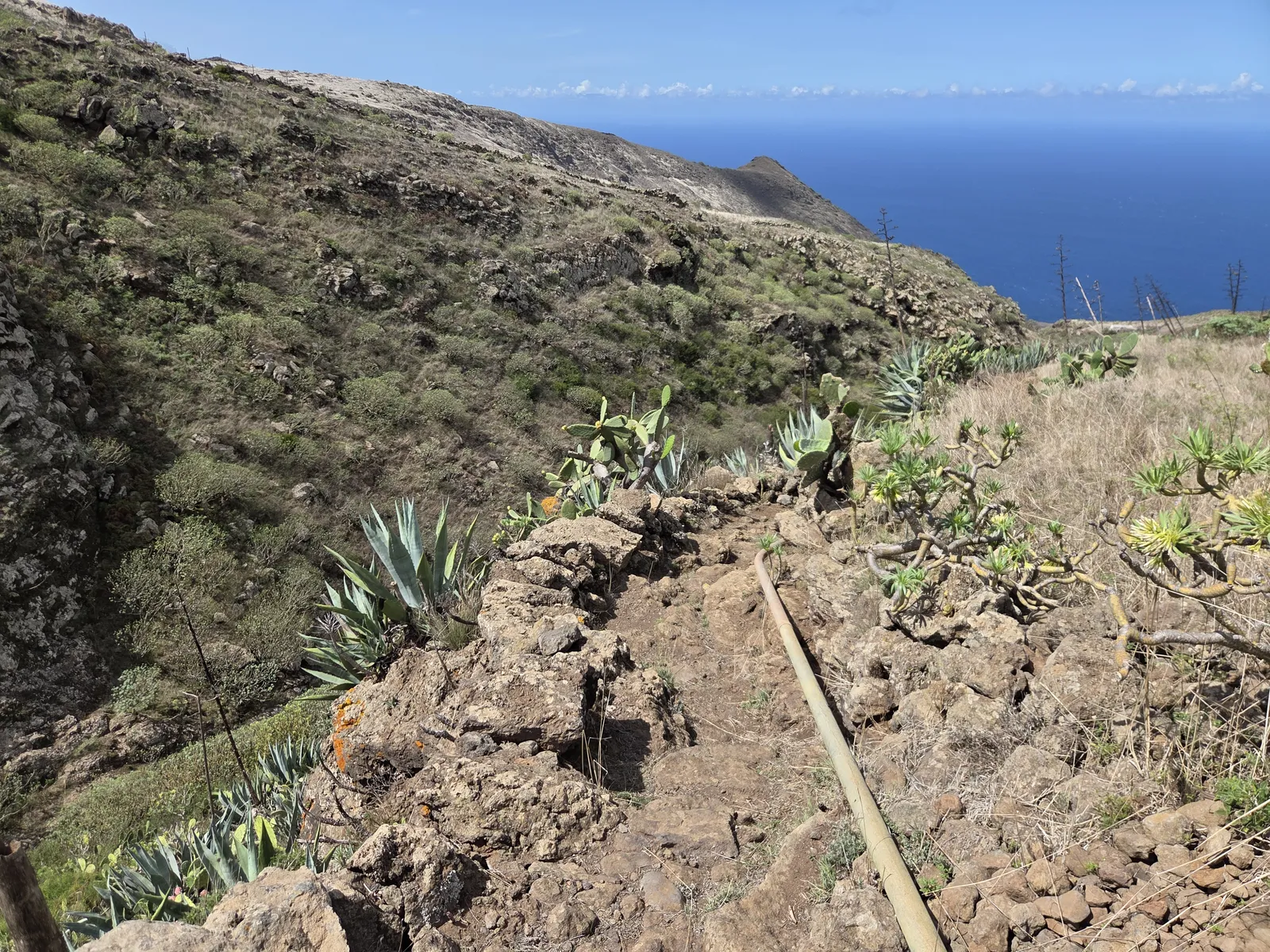 Sendero estrecho y pedregoso en una ladera de Teno con vegetación y vistas al mar